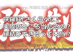 咲羅紅(さくらべに)の占いは実際のところ当たるの?縁結びができるって本当?